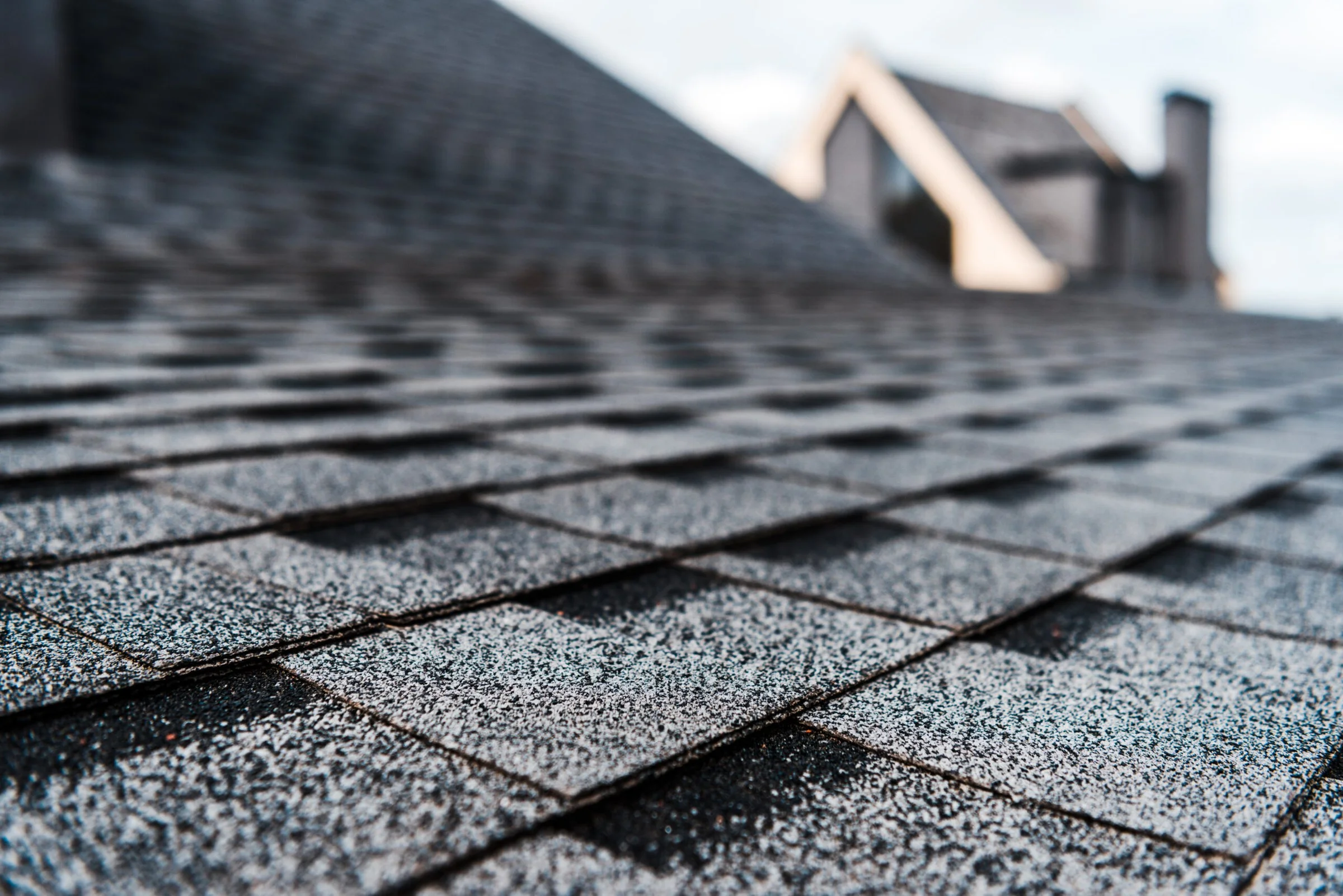 Shingle roofing on a Florida home